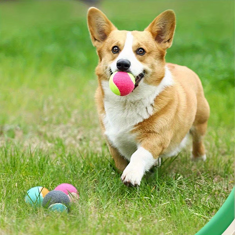 1/2pcs Balls Toy Solid Hard Ba - Kids Outdoor Yard Games 评论和价格