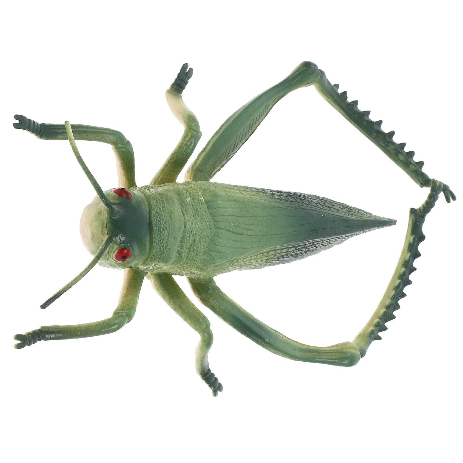 Reusable Green Grasshopper Fig - Kids Outdoor Yard Tools 评论和价格