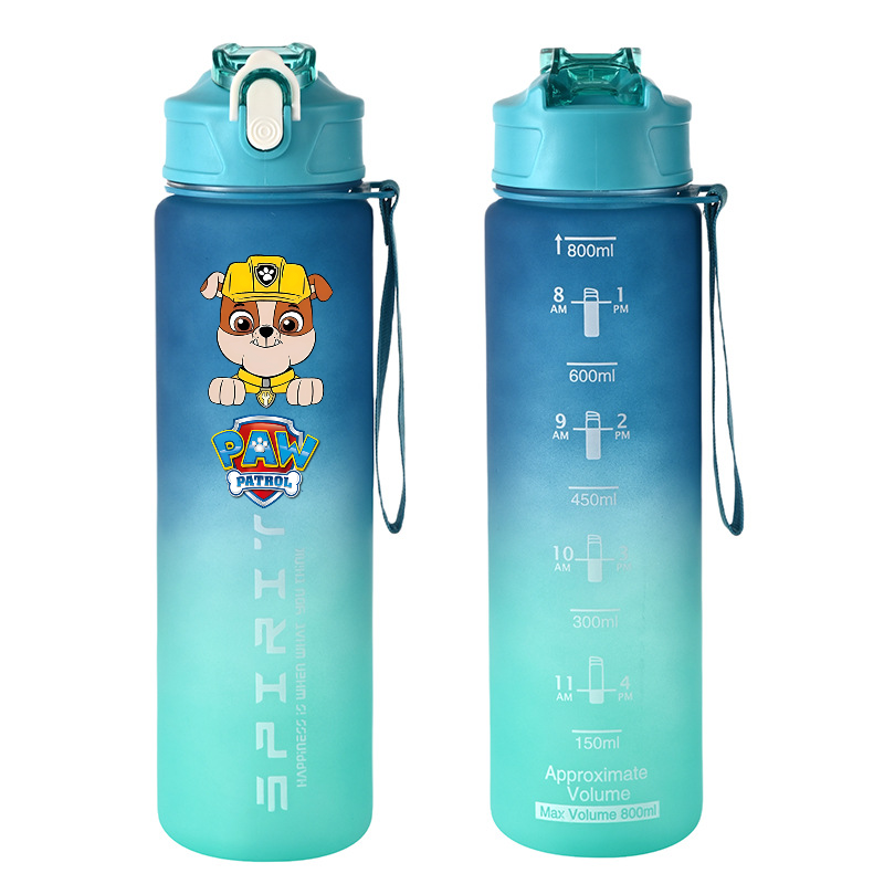 800ml PAW Patrol Sports Water  - Kids Outdoor Gym 评论和价格