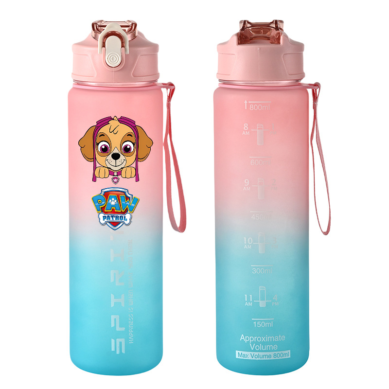 800ml PAW Patrol Sports Water  - Kids Outdoor Gym 评论和价格