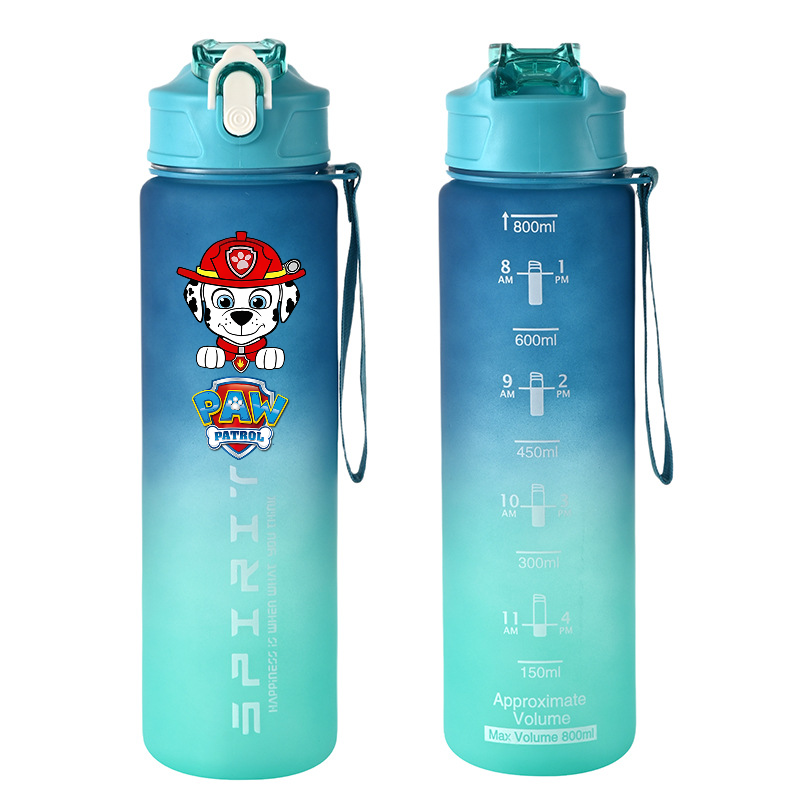 800ml PAW Patrol Sports Water  - Kids Outdoor Gym 评论和价格