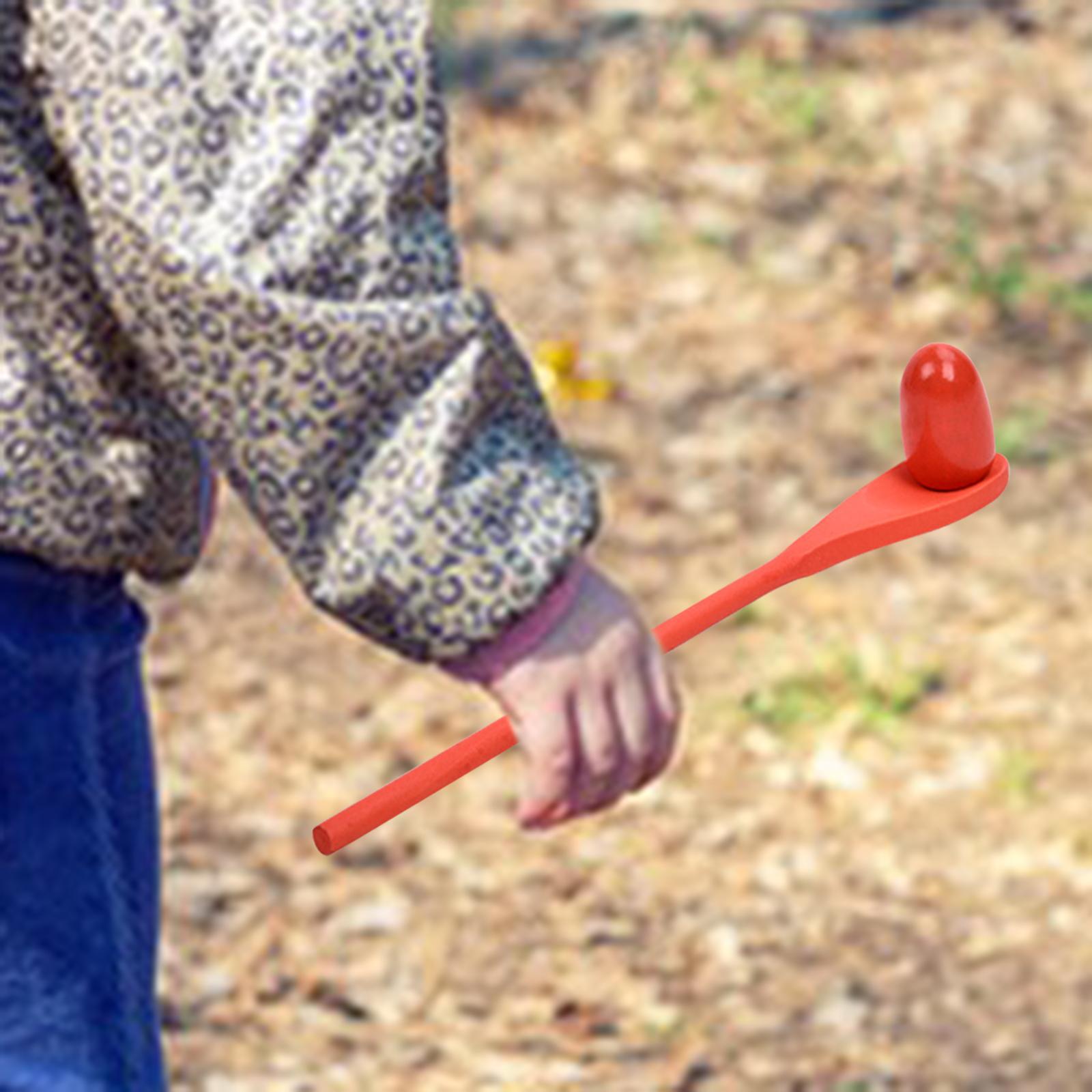 6 Pieces Egg Spoon Race Game H - Kids Outdoor Yard Games 评论和价格